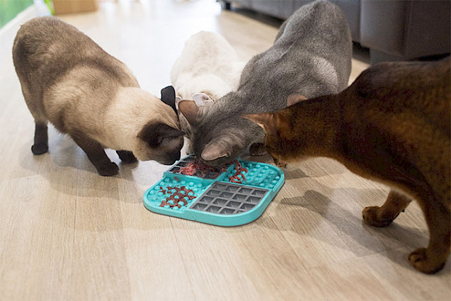 LickiMat® Slomo™ Cat -