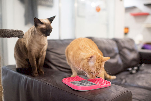 LickiMat® Slomo™ Cat -