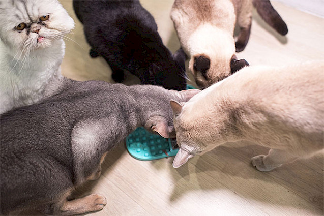LickiMat® Slomo™ Cat -