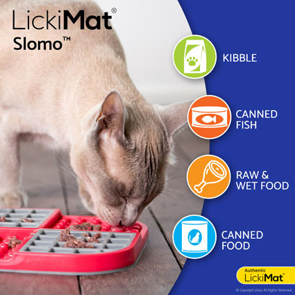 LickiMat® Slomo™ Cat - Food suggestions
