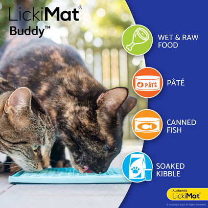 LickiMat® Classic Buddy™ Cat - Food suggestions