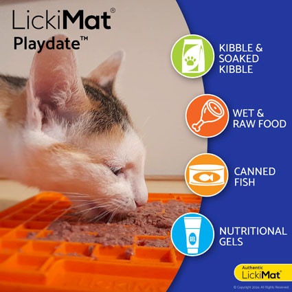 LickiMat® Classic Playdate™ Cat - Food suggestions