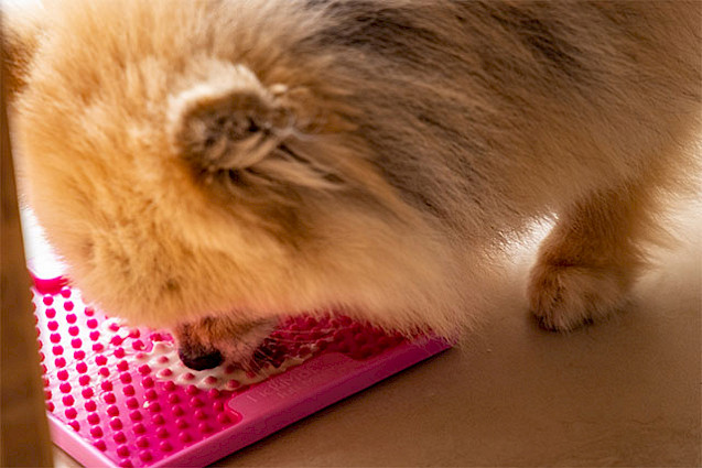 LickiMat® Mini Tuff™ Soother™